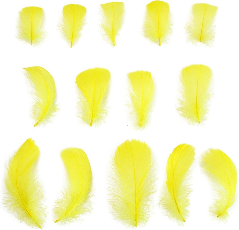 Lamar Feather 300pcs Yellow Feathers 2-3 Inches Bulk Feathers for Crafting, Dream Catcher Accessories, Art Projects, DIY Crafting, Handi Crafts, Party Decoration (Yellow) - Image 2